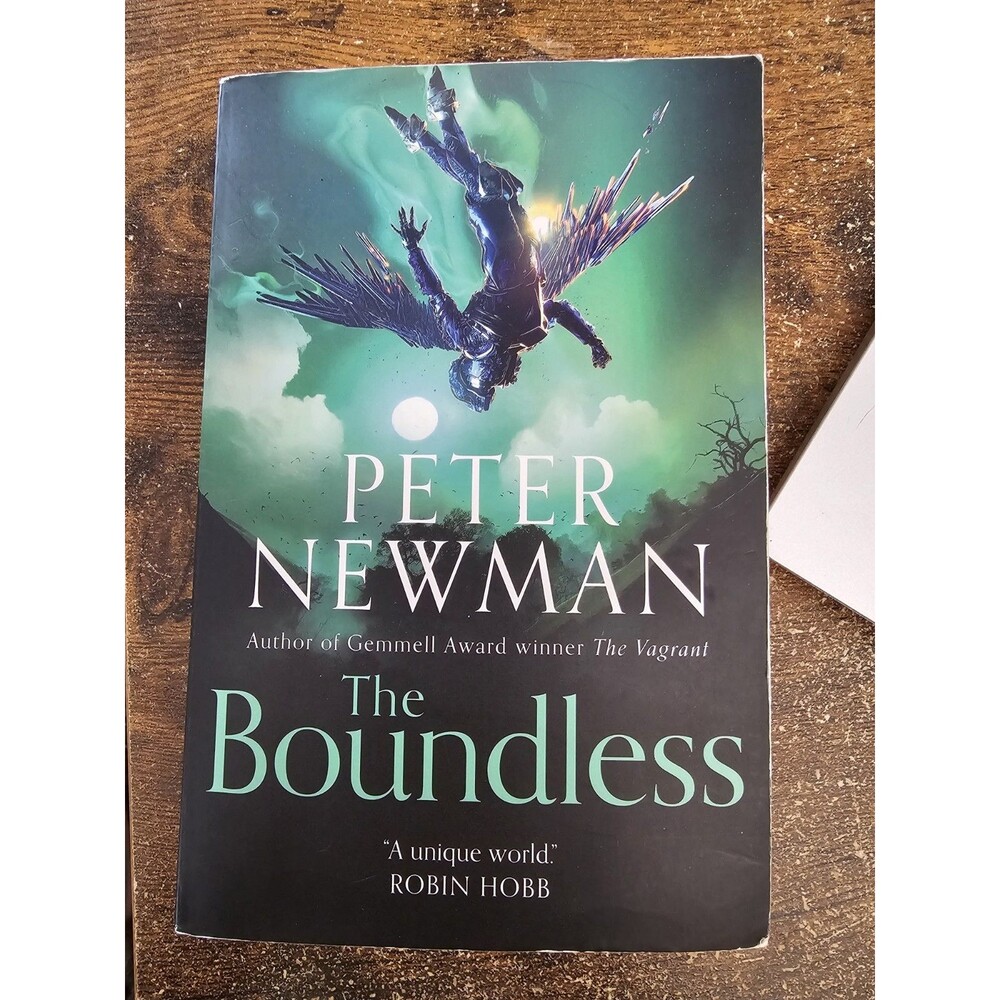 The Boundless by Peter Newman Paperback Book, Used